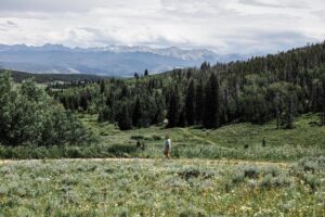 Rooted in Worship: Doxology and Theology (Who Worships/ Who Do We Worship?)